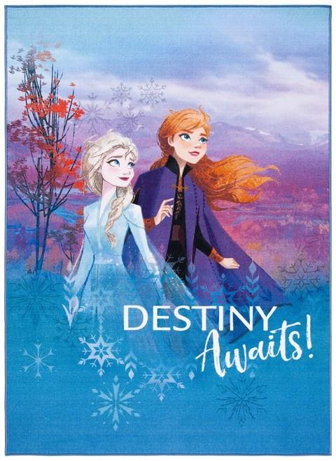 Disney Frozen 2 Collection DSN553M