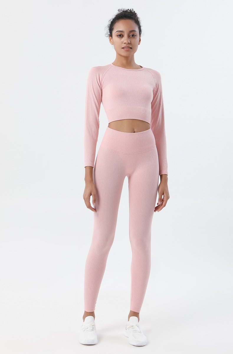 Astoria Seamless Ribbed Sleeved Crop - Soft Pink