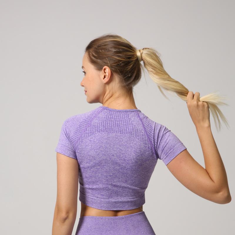 Astoria VELOCITY Cropped Tee - Purple