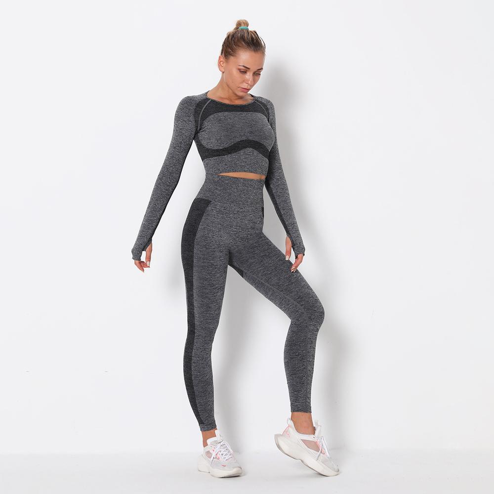 Astoria PURPOSE Sleeved Crop - Dark Grey