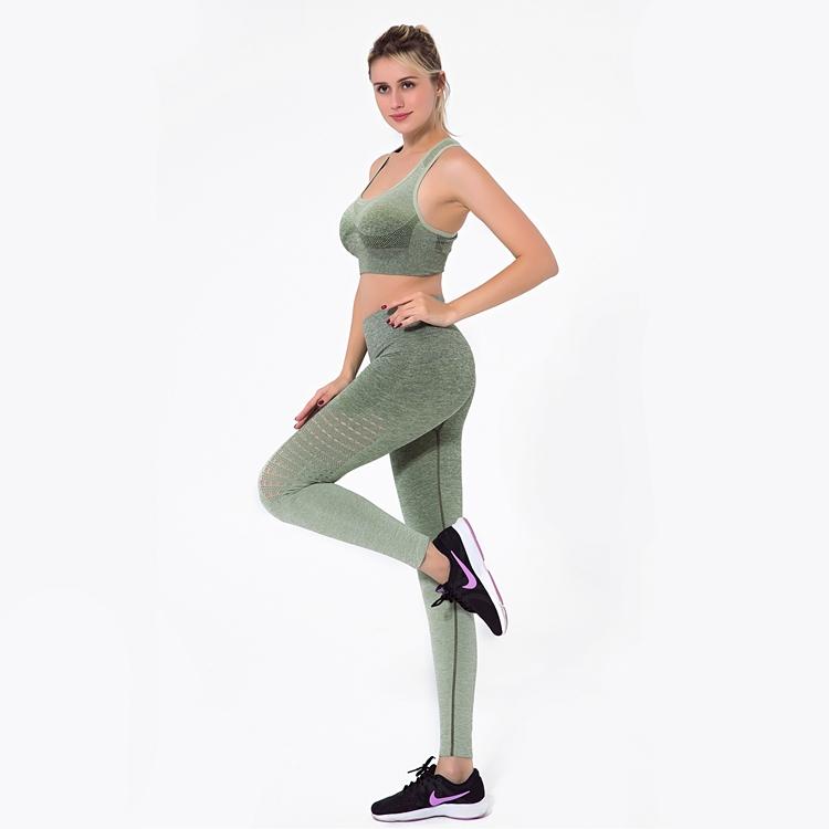 Astoria Seamless Ombre Sports Bra - Army Green