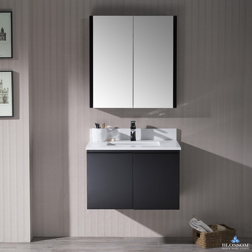 Monaco 30 Inch Vanity (Wall Hung, Chrome Legs, Wood Legs)