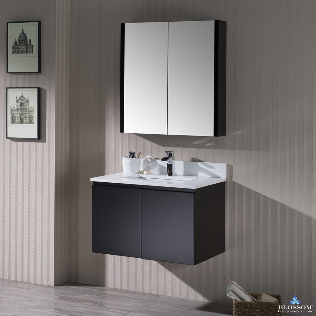 Monaco 30 Inch Vanity (Wall Hung, Chrome Legs, Wood Legs)
