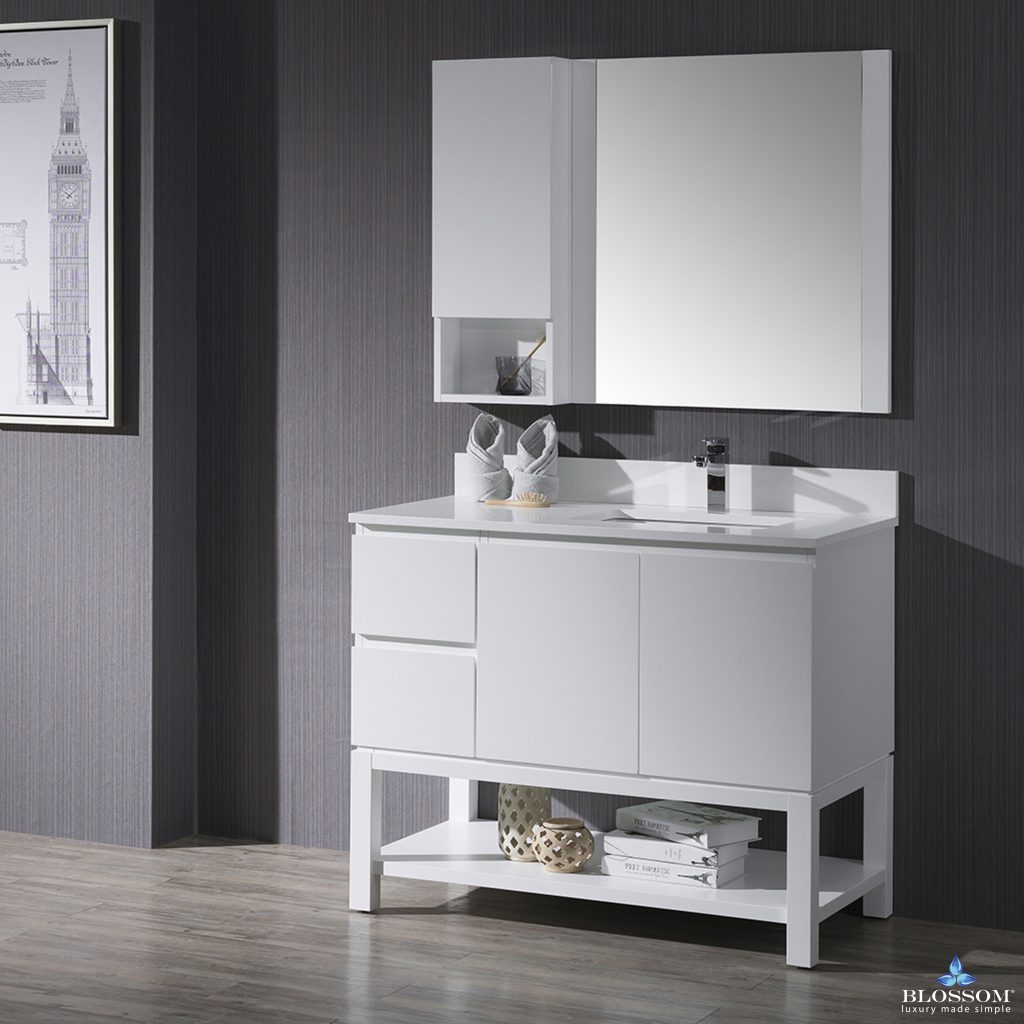 Monaco 42 Inch Vanity (Wall Hung, Chrome Legs, Wood Legs)