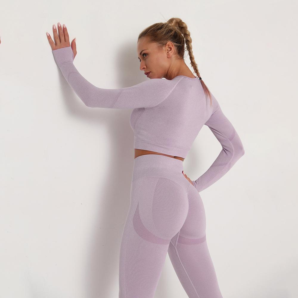 Astoria TEMPO Contour Sleeved Crop - Faded Lavender