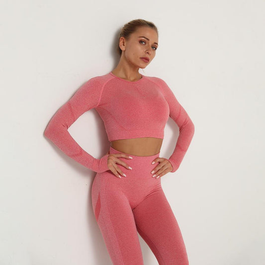 Astoria TEMPO Contour Sleeved Crop - Watermelon Pink