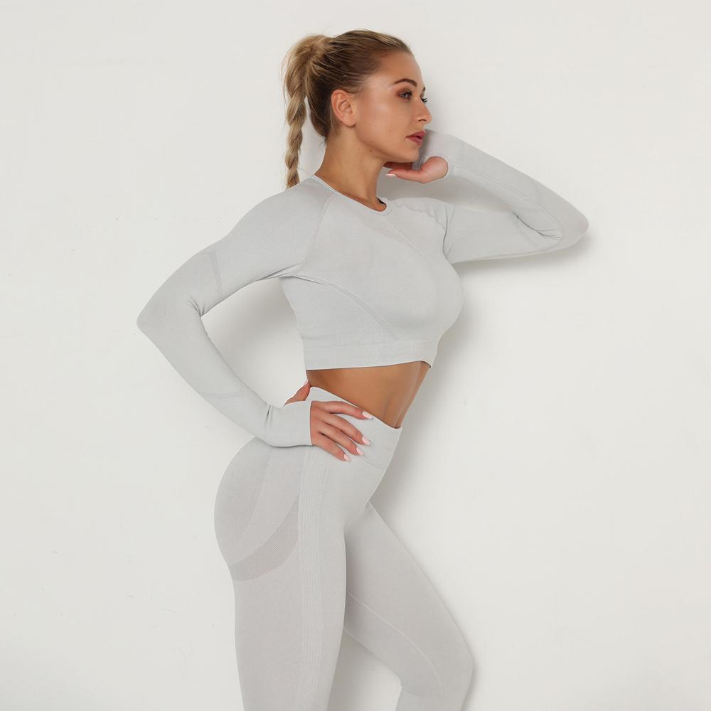 Astoria TEMPO Contour Sleeved Crop - Silver