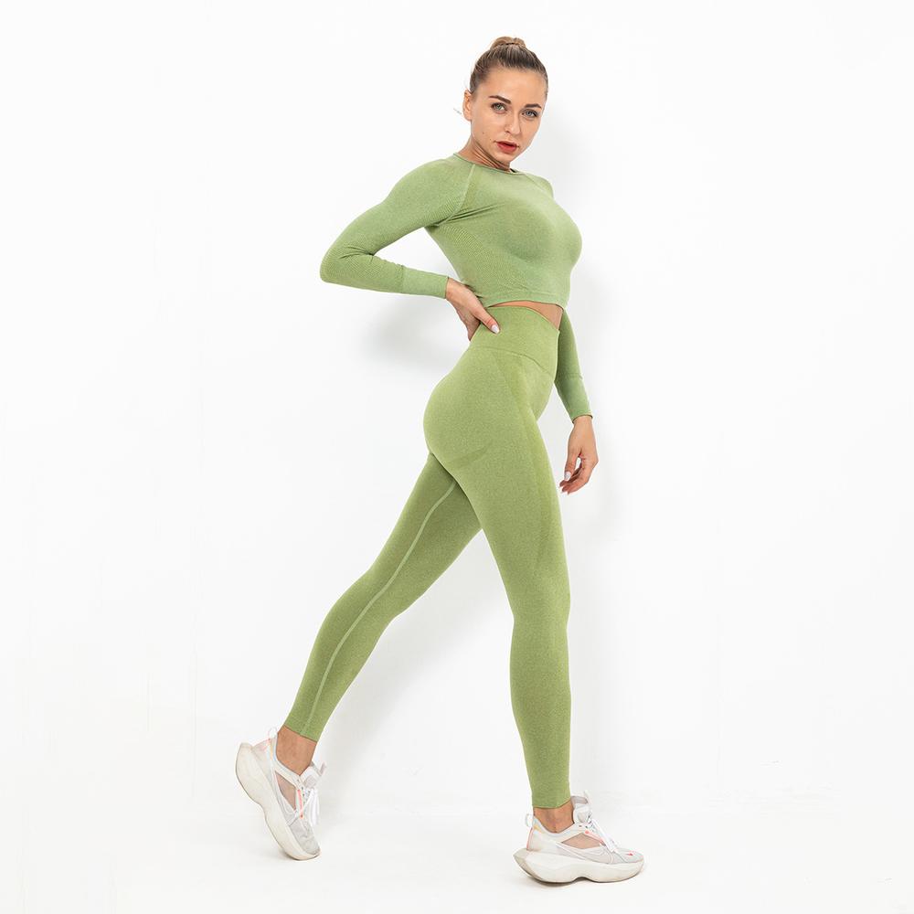 Astoria TEMPO Sleeved Crop - Light Green