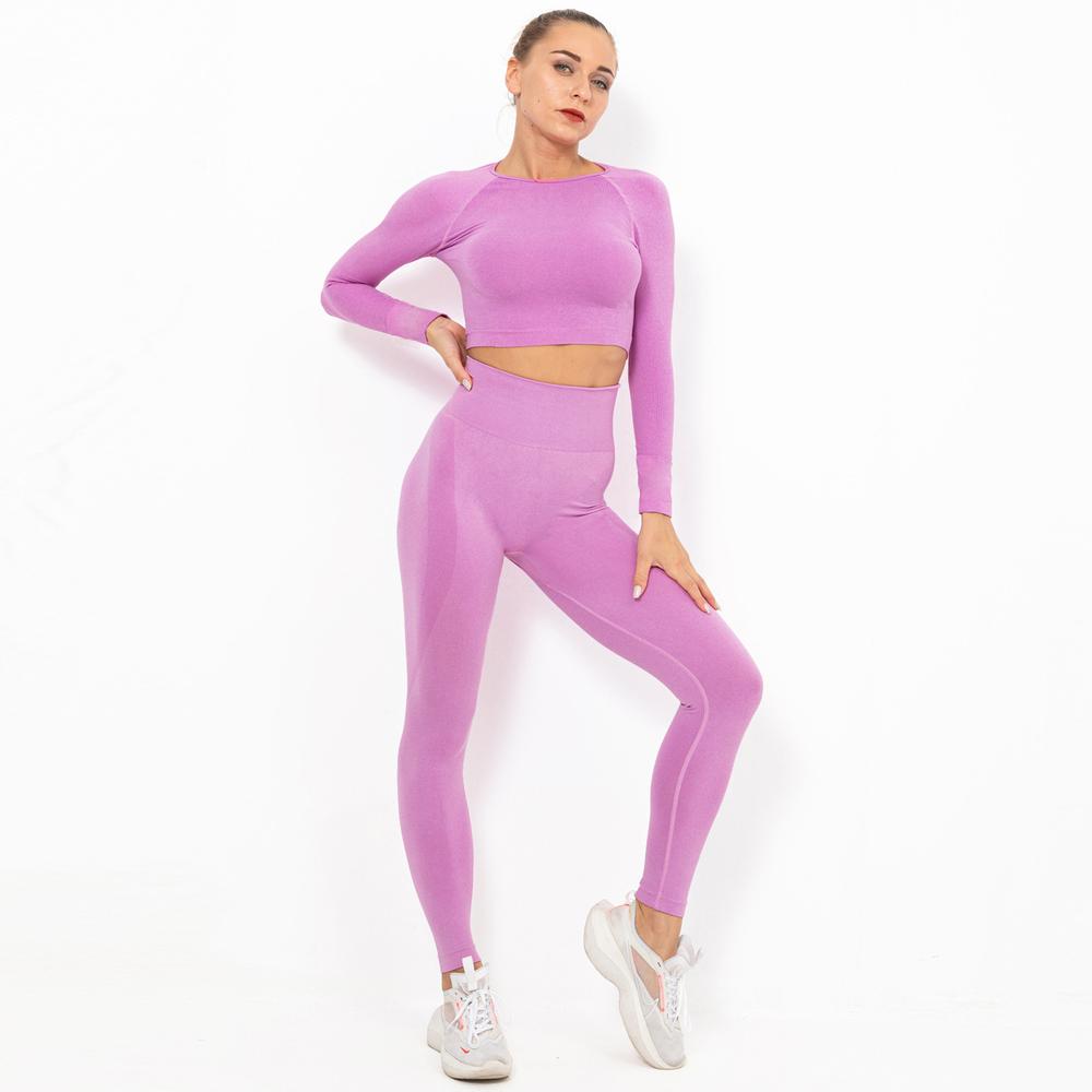 Astoria TEMPO Sleeved Sports Crop - Taffy Pink