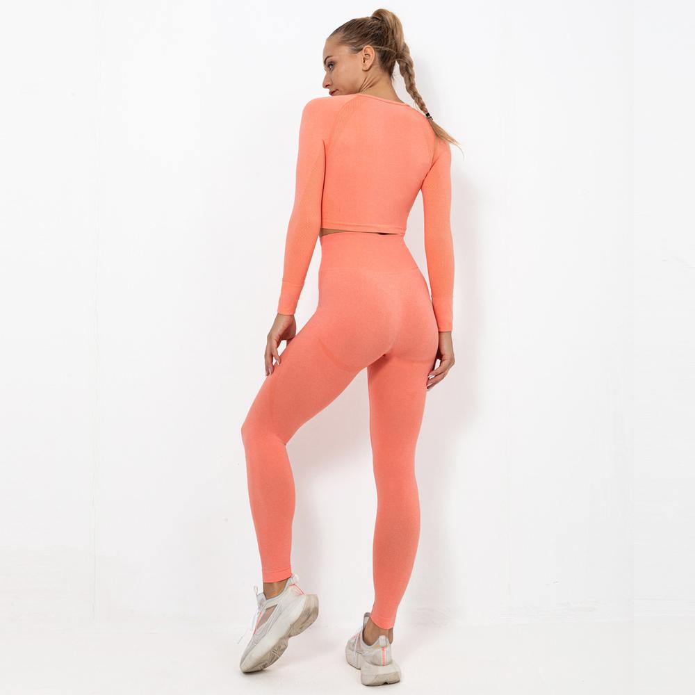 Astoria TEMPO Sleeved Crop - Bright Peach