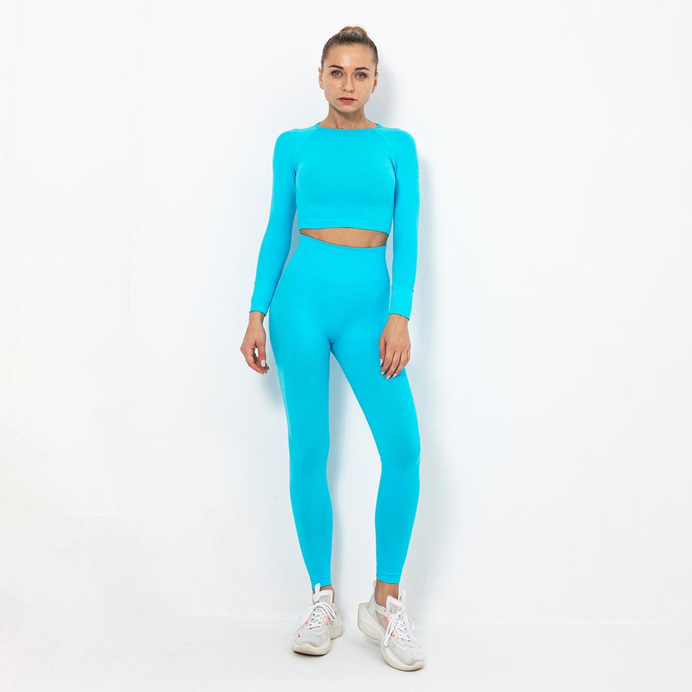 Astoria TEMPO Sleeved Crop - Sky Blue