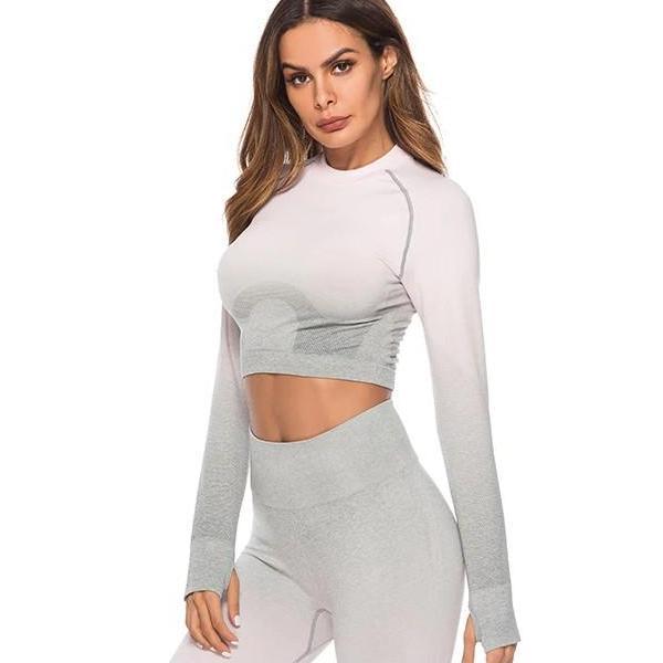 Astoria Seamless Ombre Sleeved Crop - Light Pink/Grey