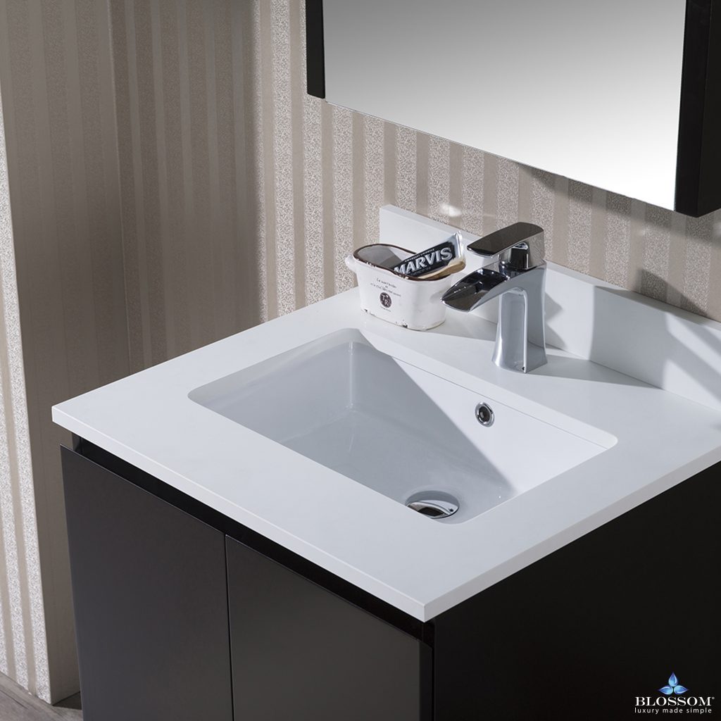 Monaco 24 Inch Vanity (Wall Hung, Chrome Legs, Wood Legs)