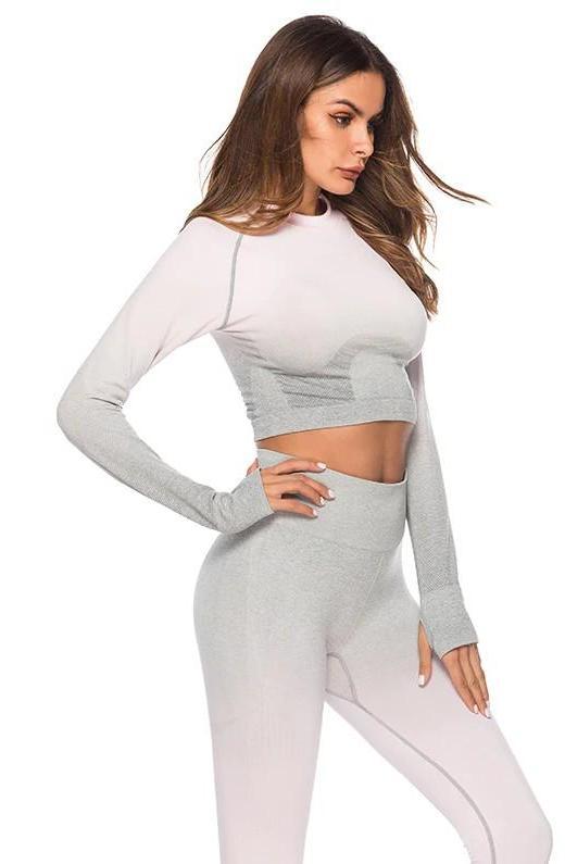 Astoria Seamless Ombre Sleeved Crop - Light Pink/Grey