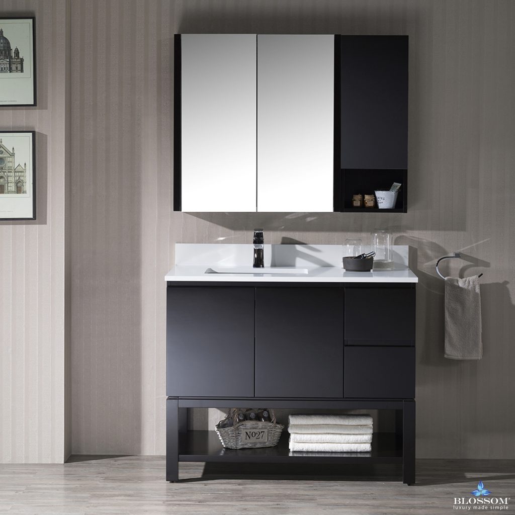 Monaco 42 Inch Vanity (Wall Hung, Chrome Legs, Wood Legs)