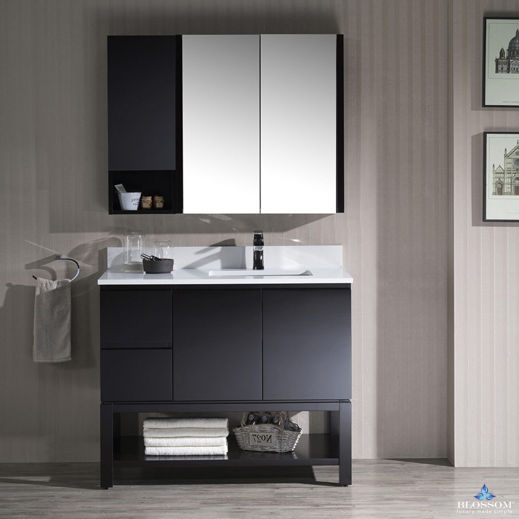 Monaco 42 Inch Vanity (Wall Hung, Chrome Legs, Wood Legs)