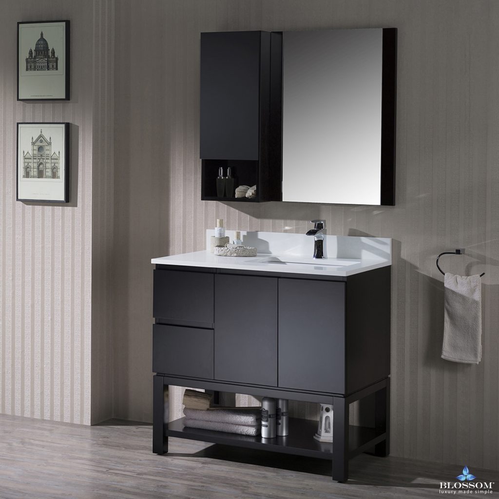 Monaco 36 Inch Vanity (Wall Hung, Chrome Legs, Wood Legs)