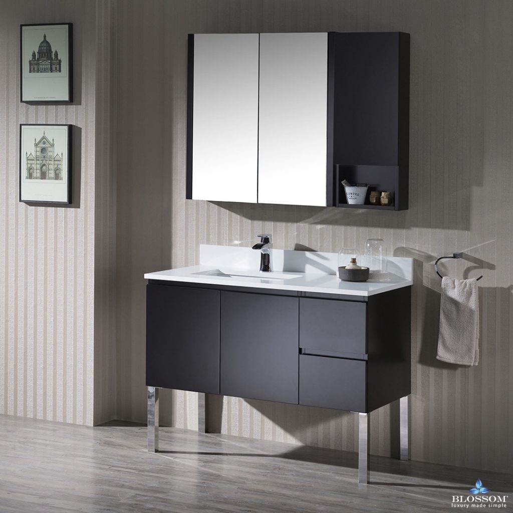 Monaco 42 Inch Vanity (Wall Hung, Chrome Legs, Wood Legs)
