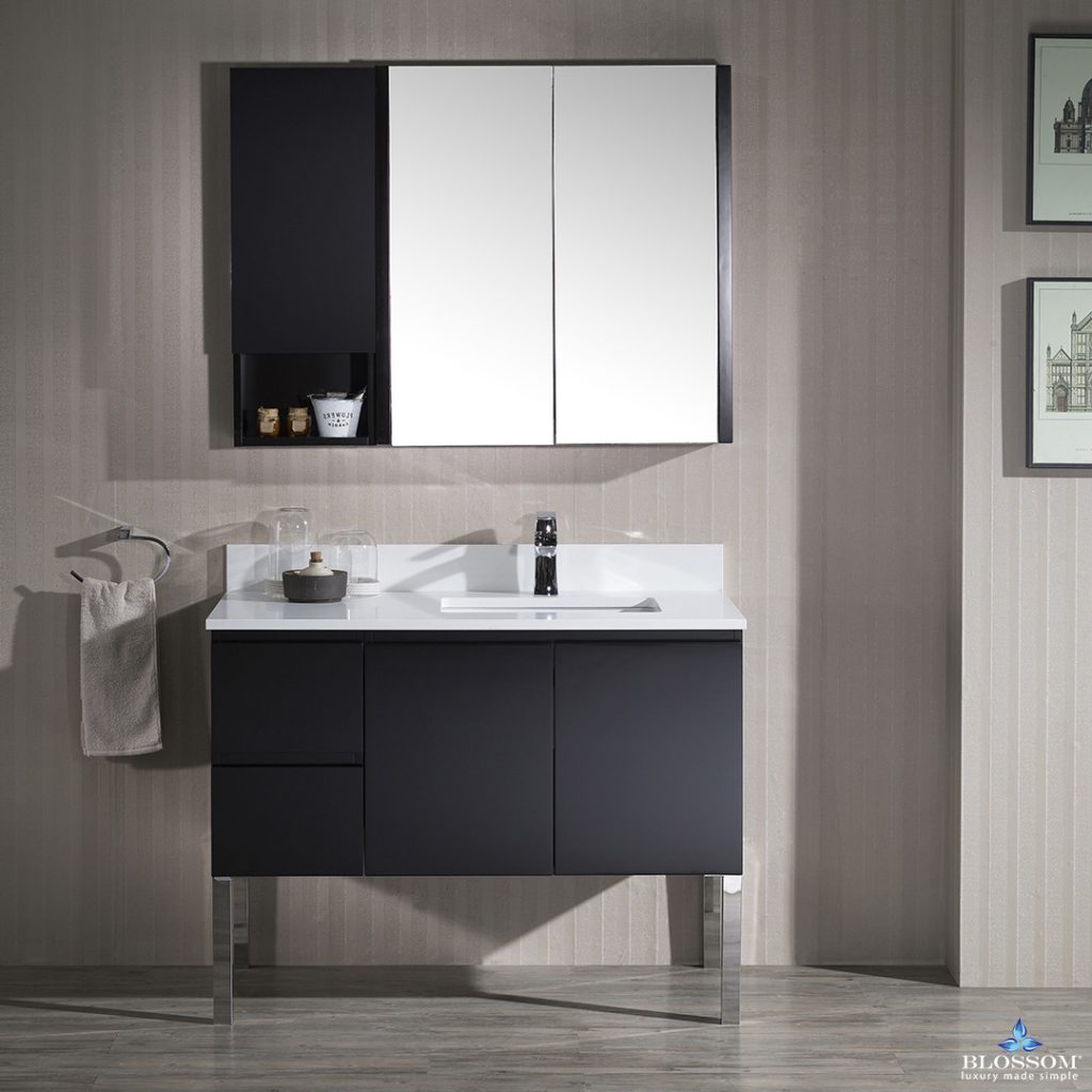 Monaco 42 Inch Vanity (Wall Hung, Chrome Legs, Wood Legs)