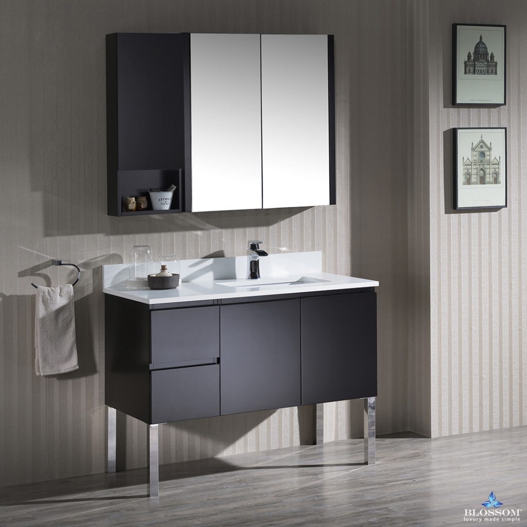 Monaco 42 Inch Vanity (Wall Hung, Chrome Legs, Wood Legs)