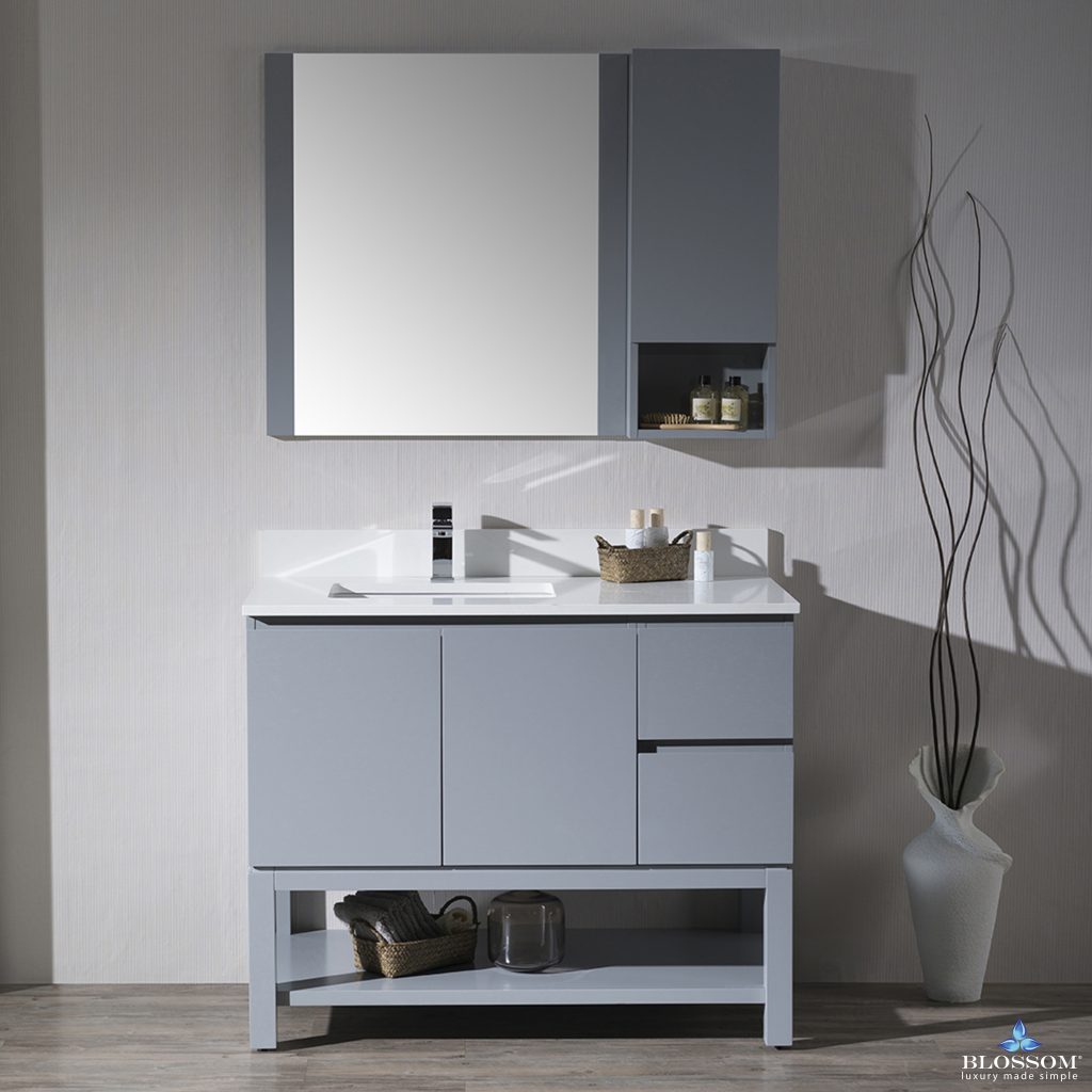 Monaco 42 Inch Vanity (Wall Hung, Chrome Legs, Wood Legs)