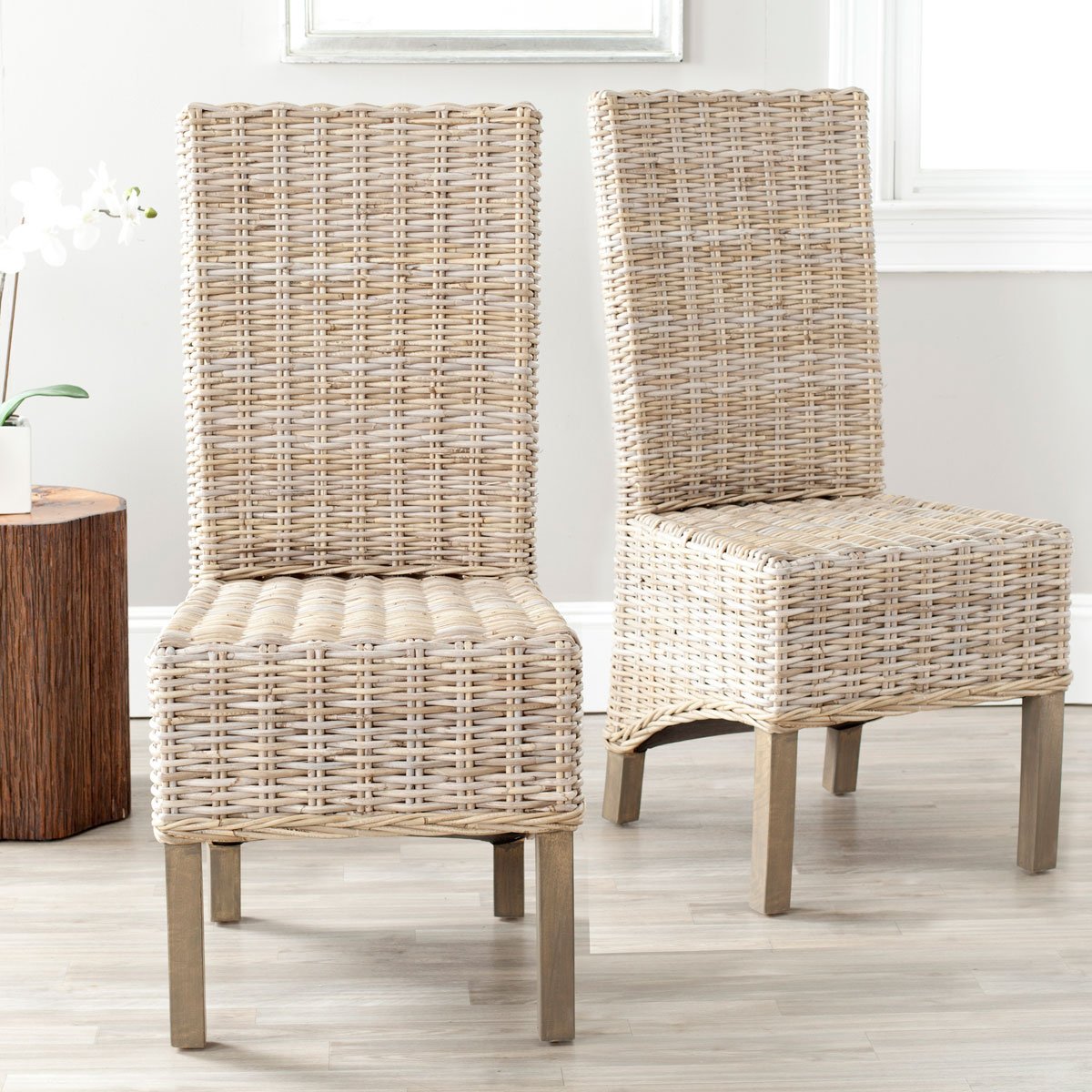 Pembrooke 19"h Rattan Side Chair