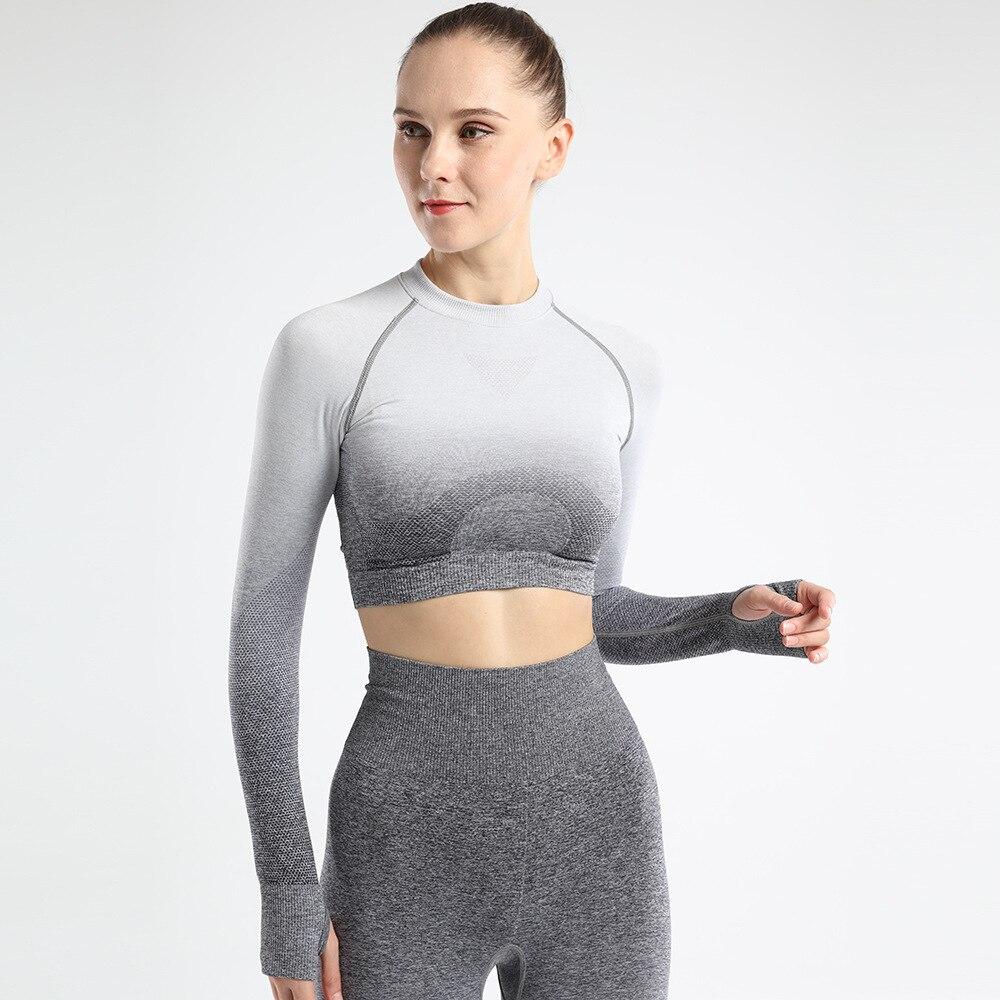 Astoria Seamless Ombre Sleeved Crop - Grey