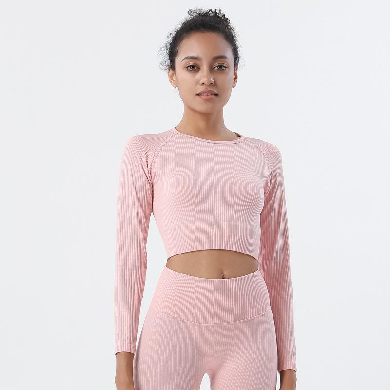 Astoria Seamless Ribbed Sleeved Crop - Soft Pink