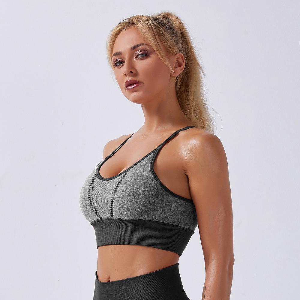 Astoria APEX Sports Bra - Grey/Black