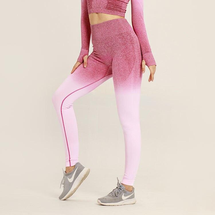 Astoria Seamless Ombre Legging - Maroon