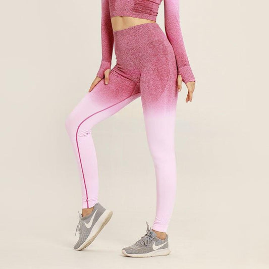 Astoria Seamless Ombre Legging - Maroon
