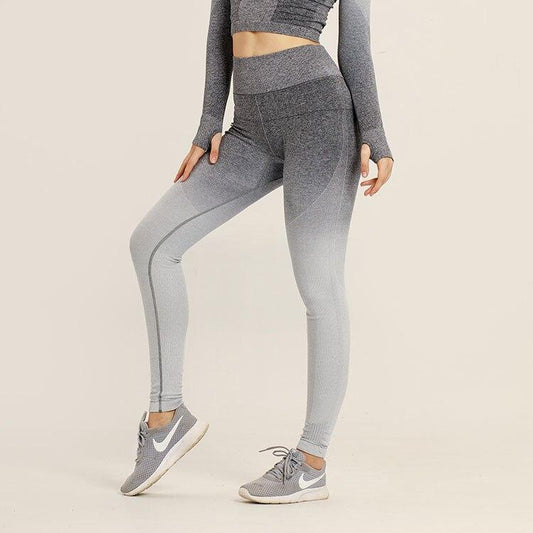 Astoria Seamless Ombre Legging - Grey