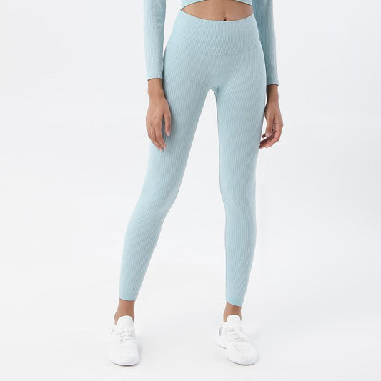 Astoria Seamless Ribbed Legging - Aqua