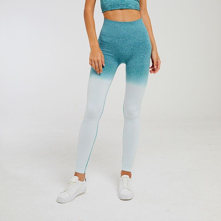 Astoria Seamless Ombre Legging - Teal
