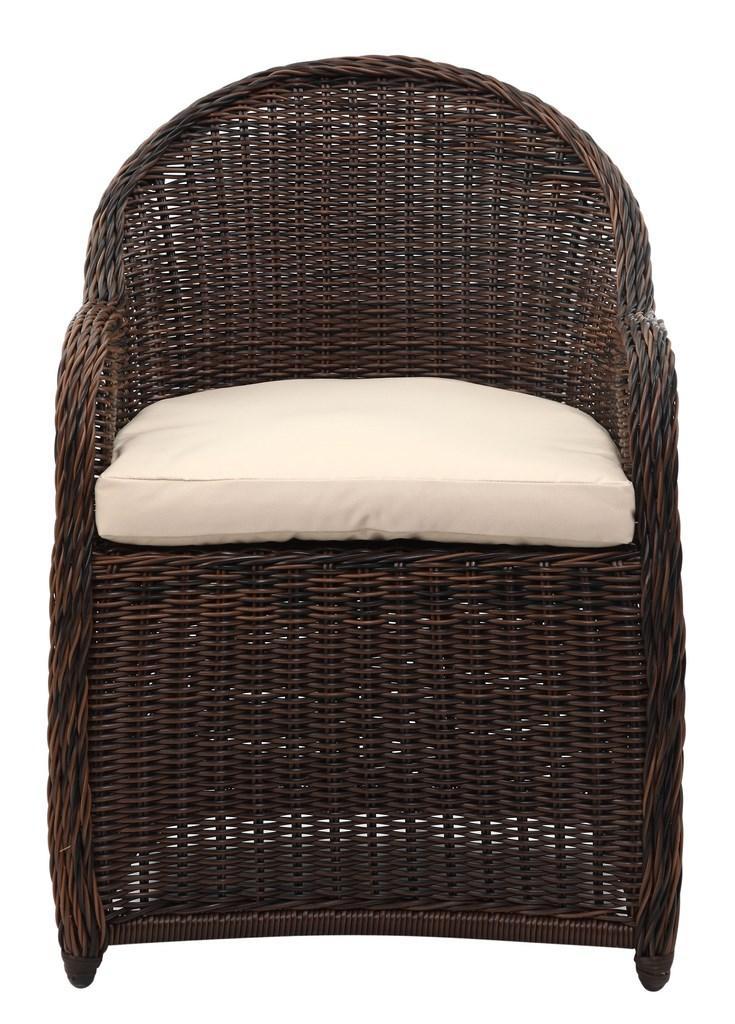 Newton Wicker Arm Chair With Cushion