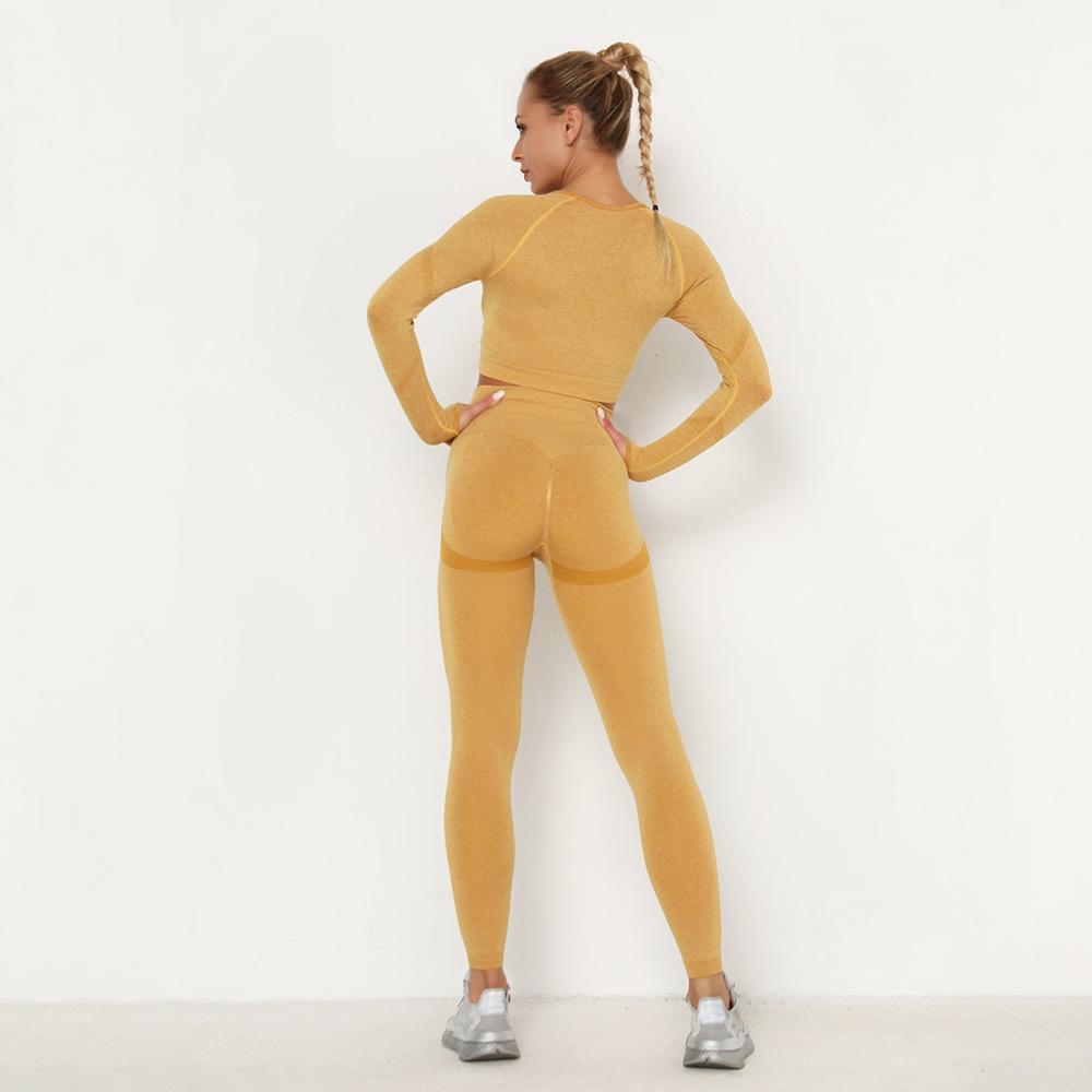 Astoria TEMPO Contour Sleeved Crop - Gold