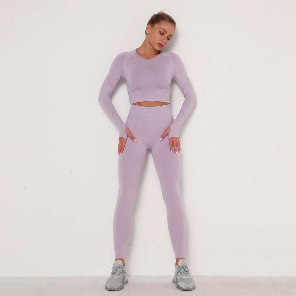 Astoria TEMPO Contour Sleeved Crop - Faded Lavender