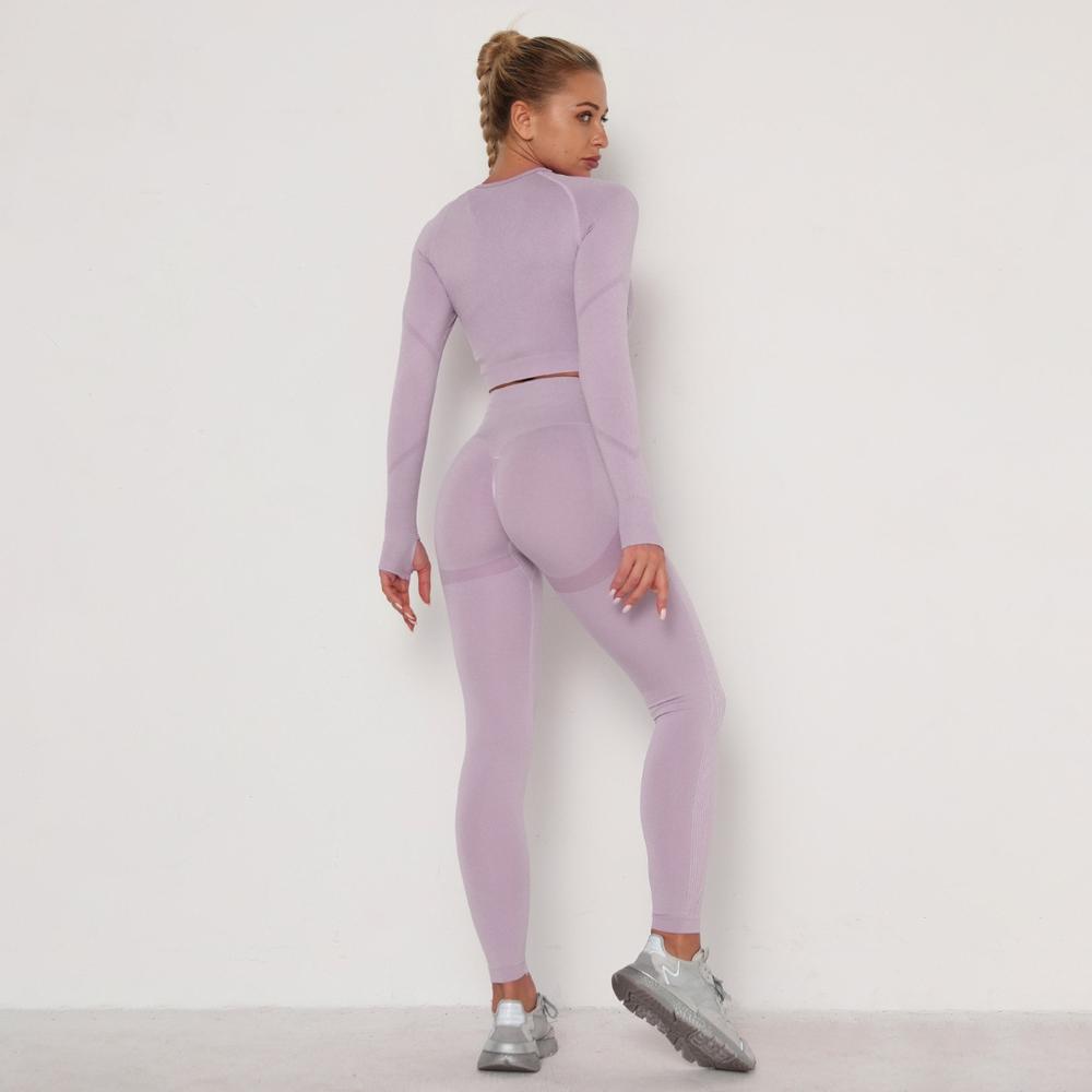 Astoria TEMPO Contour Sleeved Crop - Faded Lavender