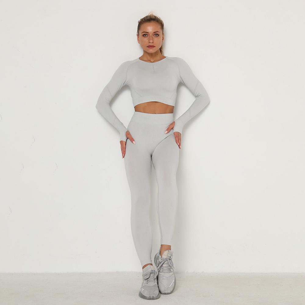 Astoria TEMPO Contour Sleeved Crop - Silver