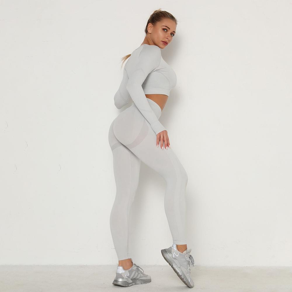 Astoria TEMPO Contour Sleeved Crop - Silver