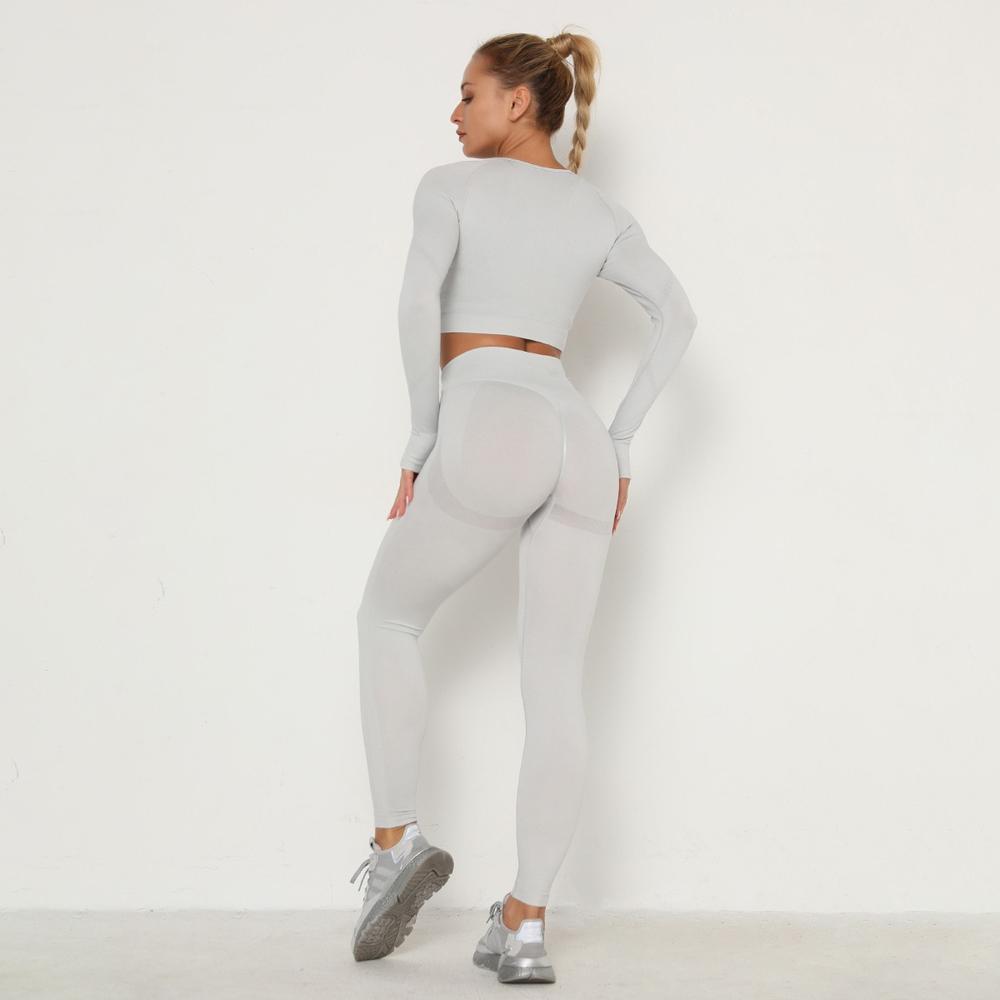 Astoria TEMPO Contour Sleeved Crop - Silver