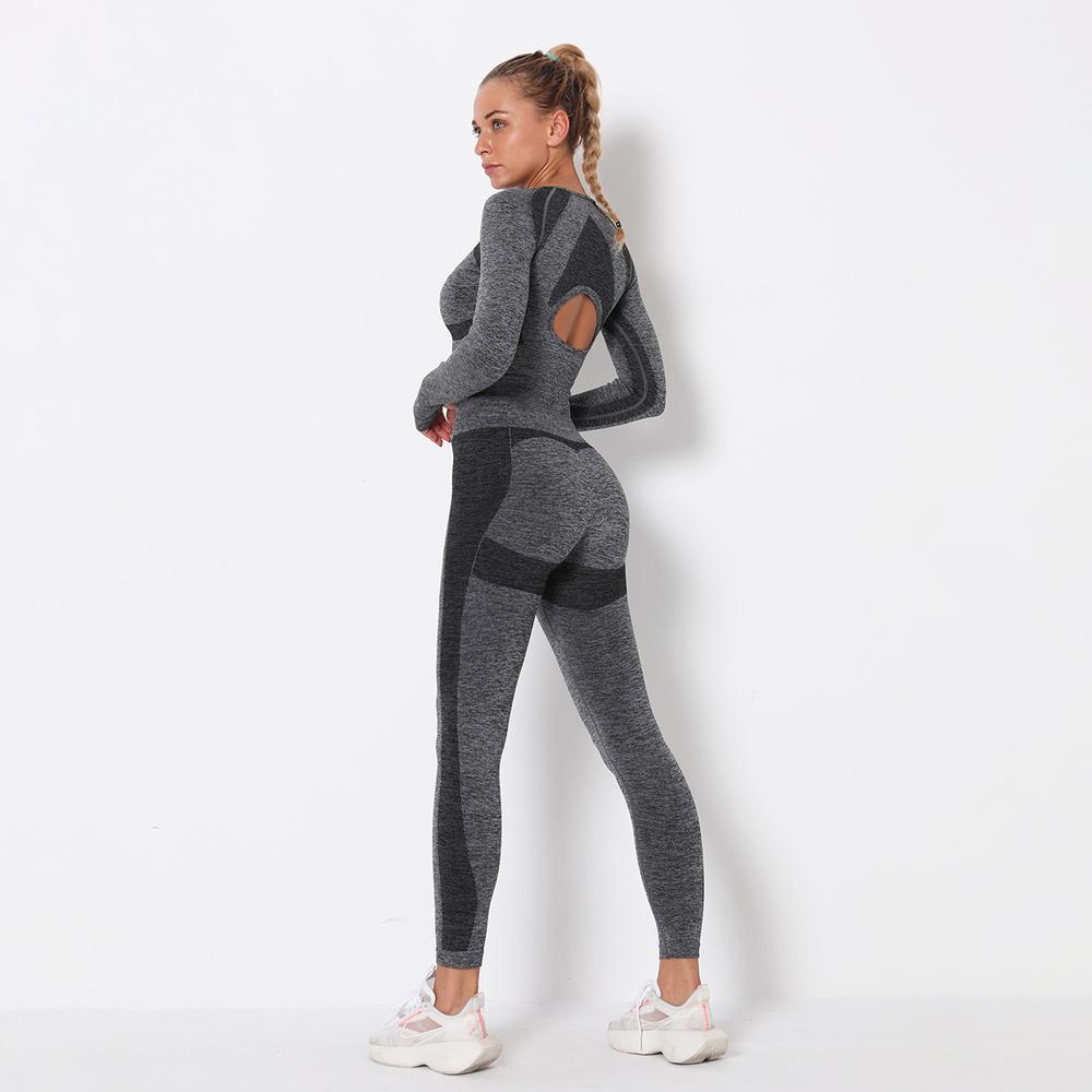 Astoria PURPOSE Sleeved Crop - Dark Grey