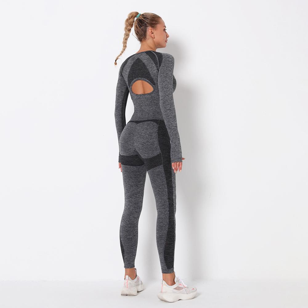 Astoria PURPOSE Sleeved Crop - Dark Grey