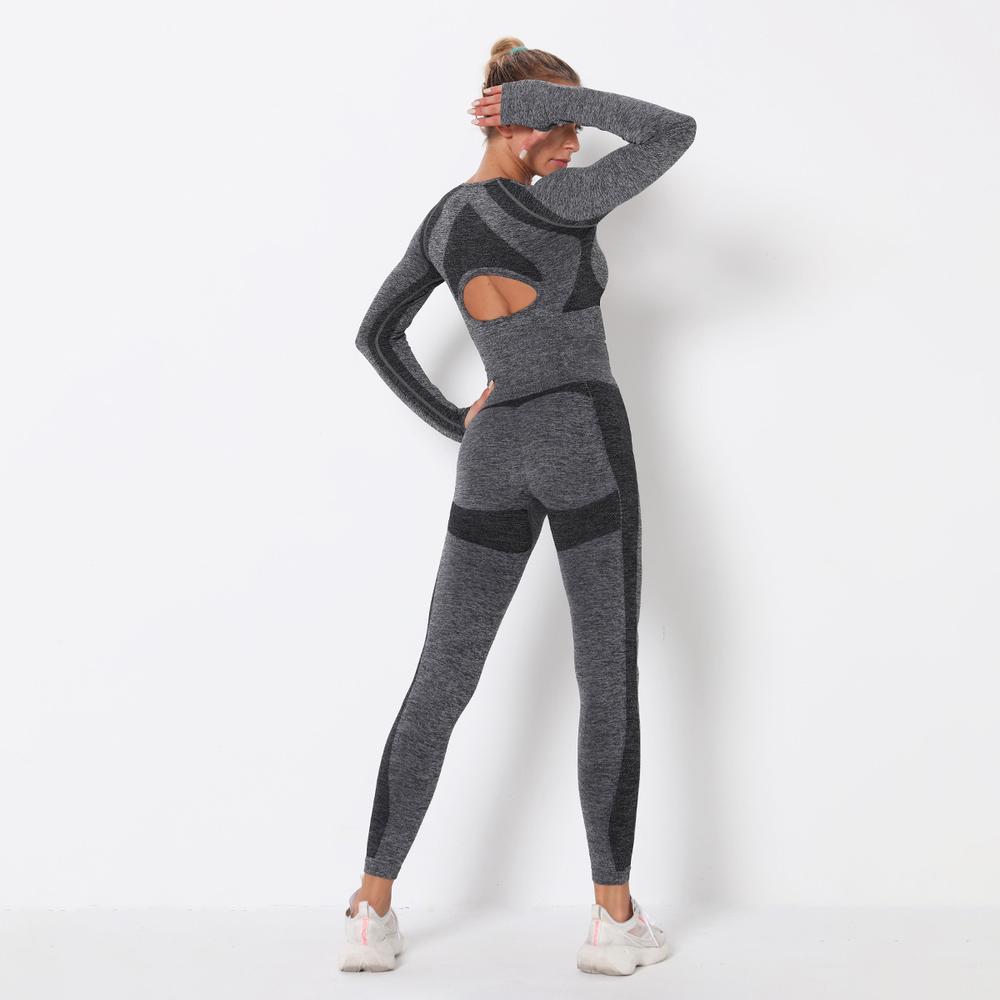 Astoria PURPOSE Sleeved Crop - Dark Grey