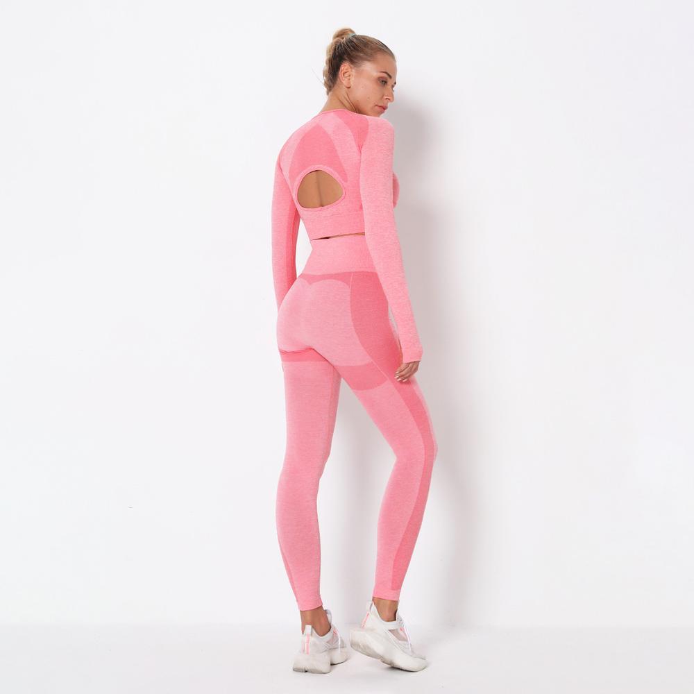 Astoria PURPOSE Sleeved Crop - Pink