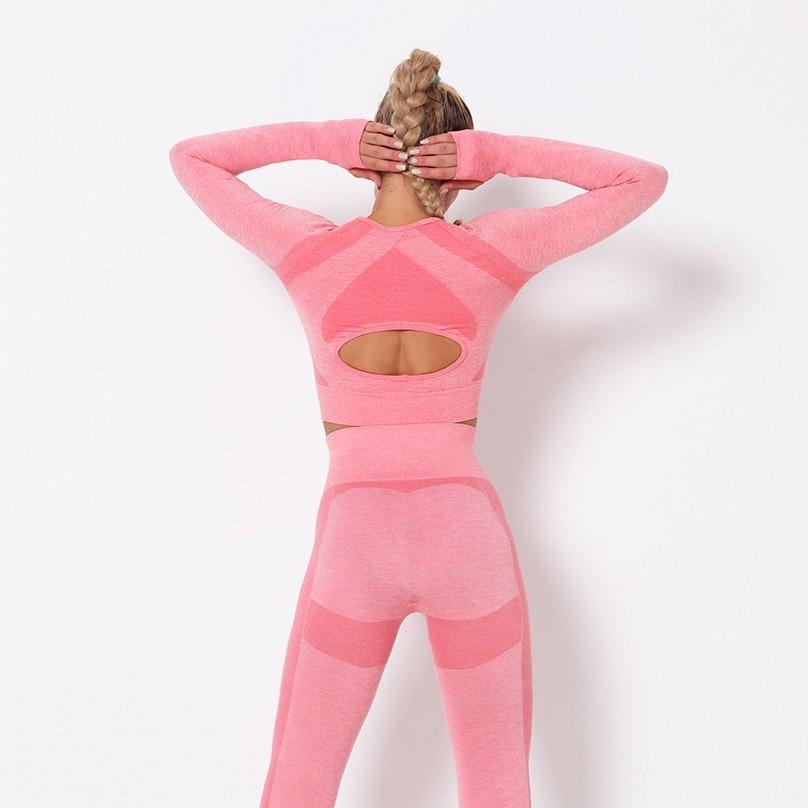 Astoria PURPOSE Sleeved Crop - Pink