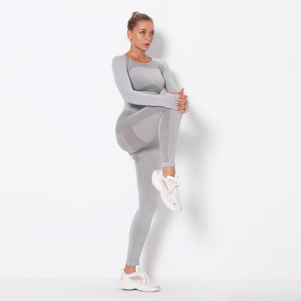 Astoria PURPOSE Sleeved Crop - Light Grey