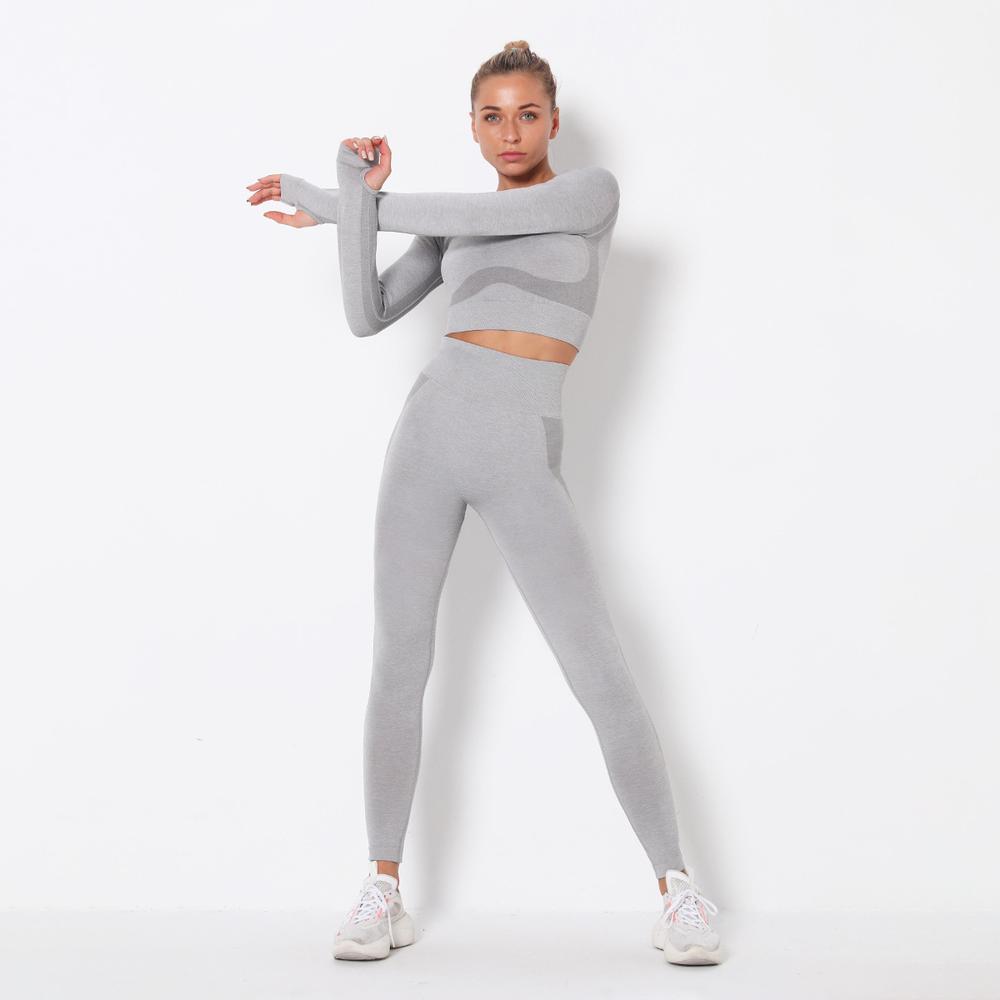 Astoria PURPOSE Sleeved Crop - Light Grey