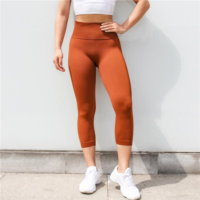 Astoria Seamless 3/4 Legging - Burnt Orange
