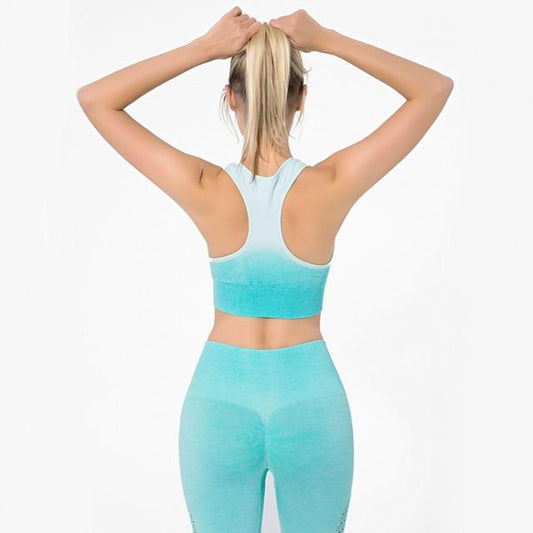 Astoria Seamless Ombre Sports Bra - Aqua